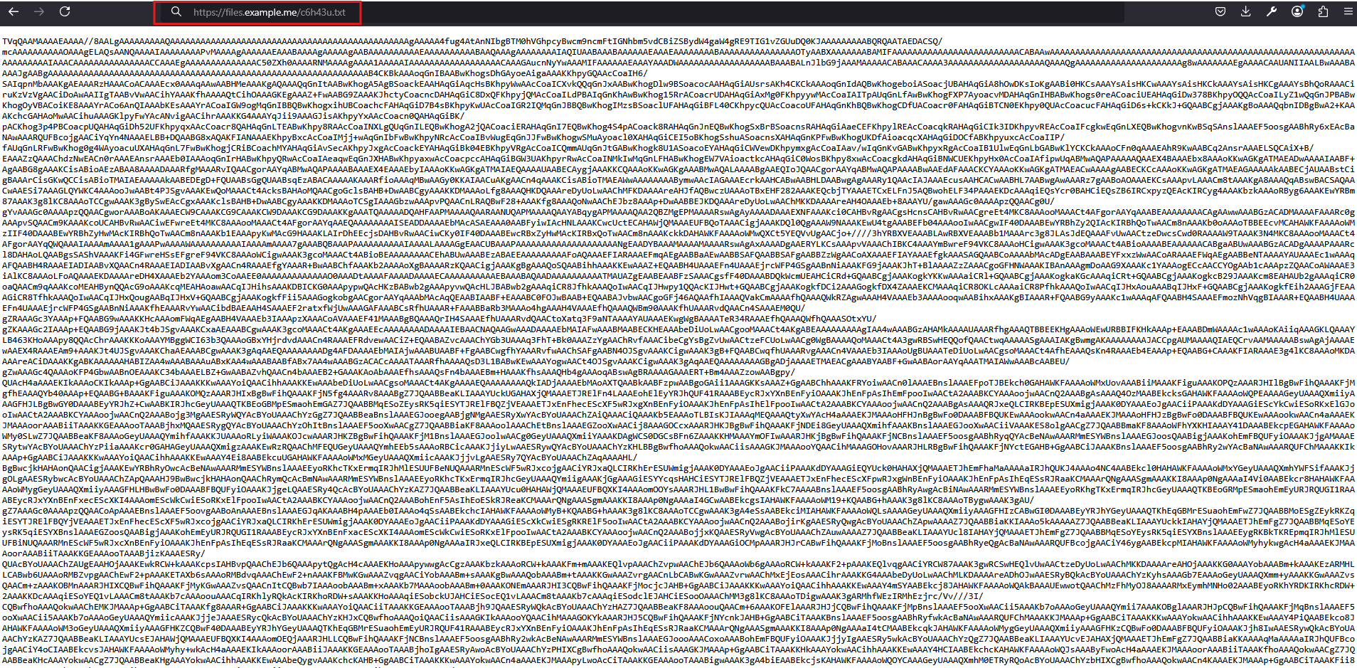 Fig 11: Base64 in URL Context